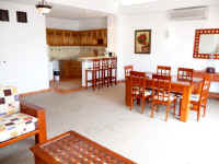 apartment spacious living and dining area