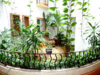 andale interior hallway atrium and plants