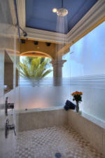 shower in the master bath
