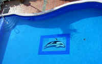 Playa Bonita heated swimming pool in common area