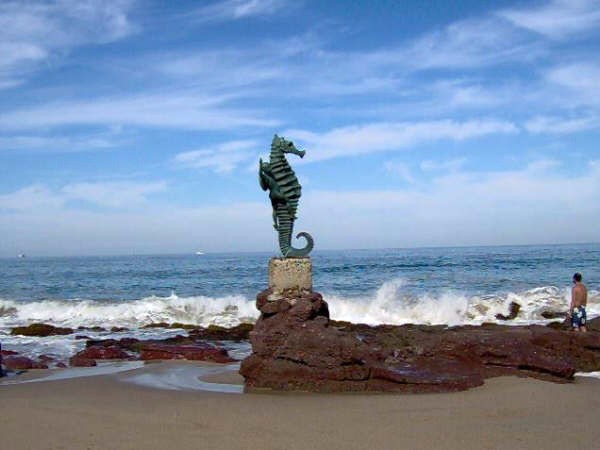 los muertos beach puerto vallarta sea horse