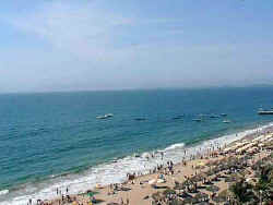 Playa Bonita 702 penthouse balcony views of beach