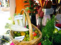 farmers market puerto vallarta things to know