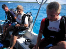 vallarta activities & adventures - picture thanks Ocean Quest Dive center puerto vallarta