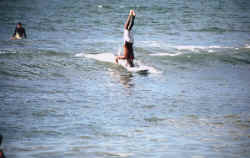 sayulita surfer longboard show goes on