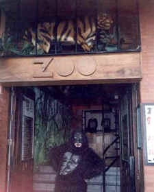 zoo bar disco puerto vallarta dance club downtown